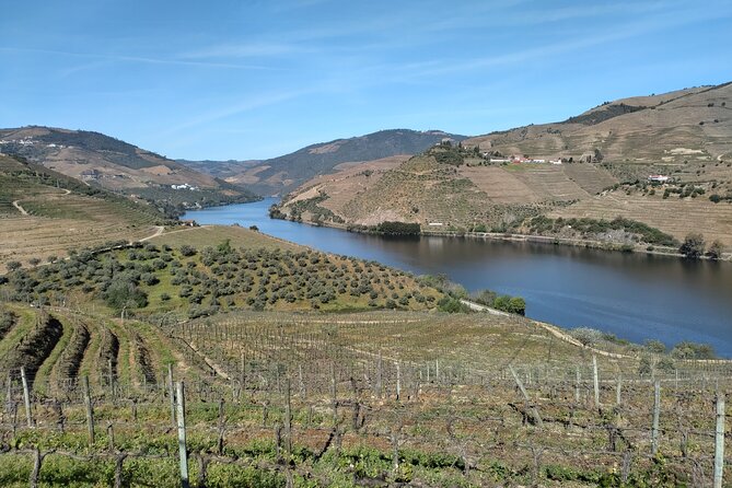 Complete Private Douro Valley Wine Tour - The Role of the Guides: Passionate and Knowledgeable