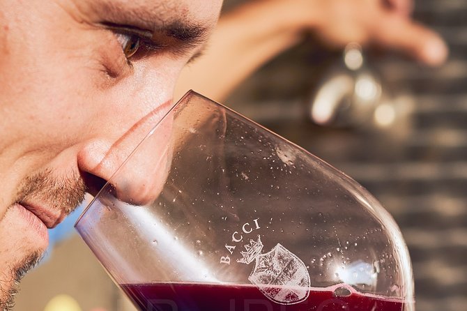 Complete tasting of Castello di Bossi - The Value of This Wine Tasting Tour