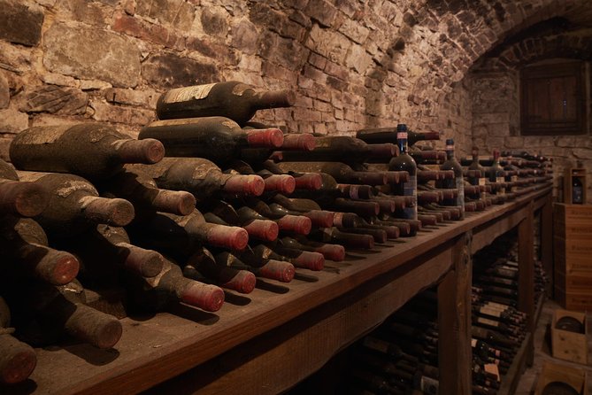 Complete tasting of Castello di Bossi - Who Will Appreciate This Experience Most?