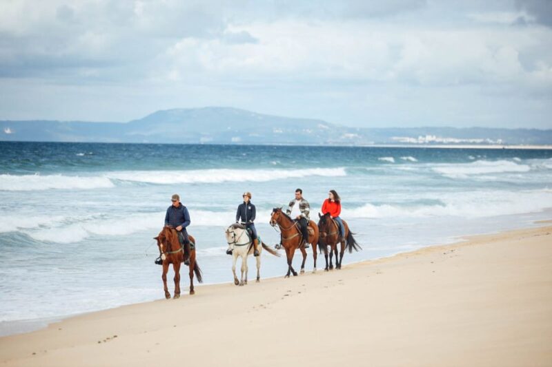 Comporta: Guided Horseback Riding Experience - Key Points