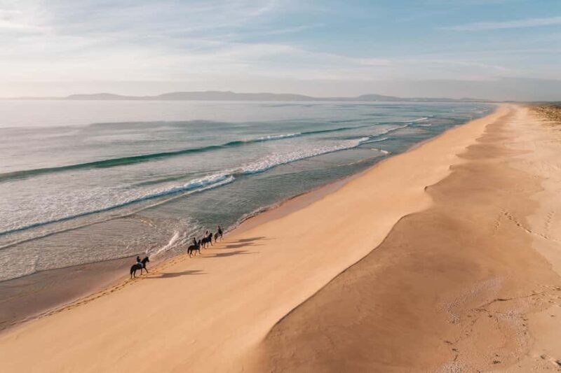 Comporta: Guided Horseback Riding Experience - Riding Over Dunes and onto Praia da Torre Beach
