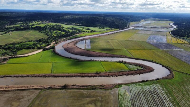 Comporta to Alcacer do Sal boat trip - Key Points