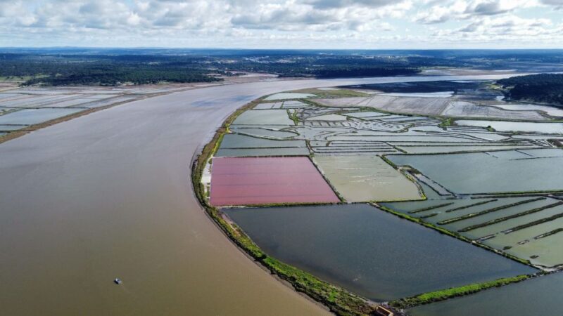 Comporta to Arrábida Coast and Troia - Comporta to Arrábida Coast and Troia: An Intimate Coastal Adventure