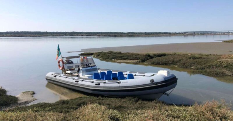Comporta to Arrábida Coast and Troia - Exploring the Roman Ruins of Tróia and Its Ancient Past