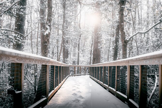 Congaree National Park Self Guided Audio Walking Tour - Using Offline GPS and Local Tips