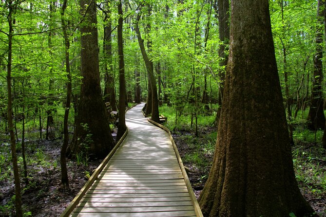 Congaree National Park Self Guided Audio Walking Tour - What’s Included and What to Bring