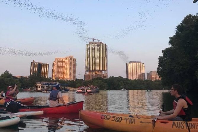 Congress Avenue Bat Bridge Kayak Tour in Austin - Watching the Bats Emerge from the Congress Avenue Bridge