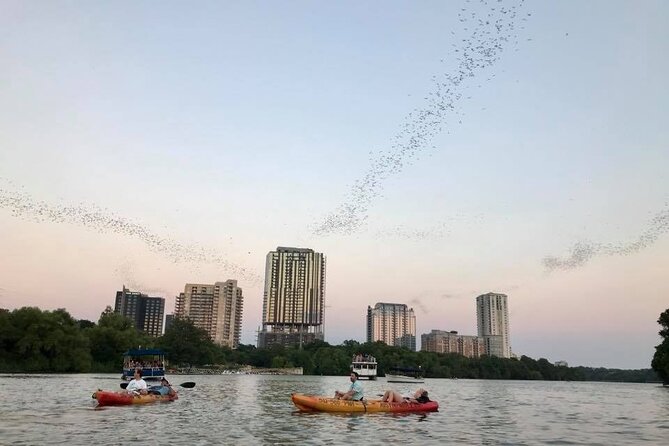Congress Avenue Bat Bridge Kayak Tour in Austin - Timing and Flexibility of the Bat Watching