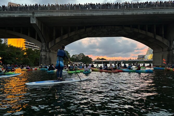 Congress Avenue Bat Bridge Paddleboard Tour - Experience the Magic of Austins Bat Colony from a Paddleboard
