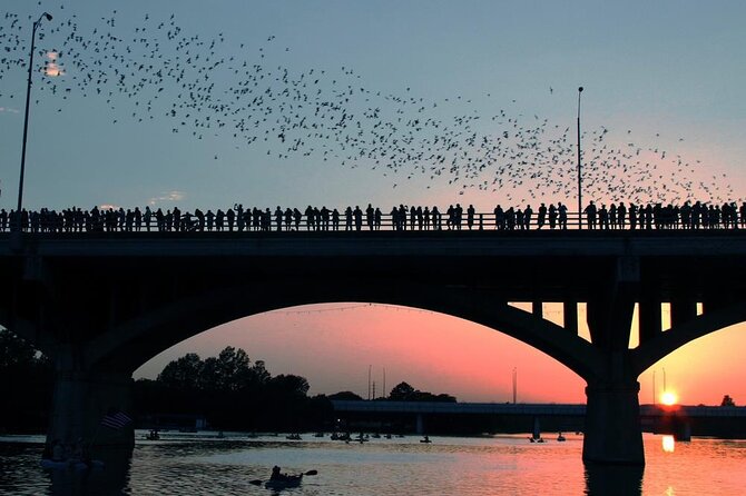 Congress Bridge Kayaking Bat Tour - The Congress Avenue Bridge: Heart of the Bat Colony