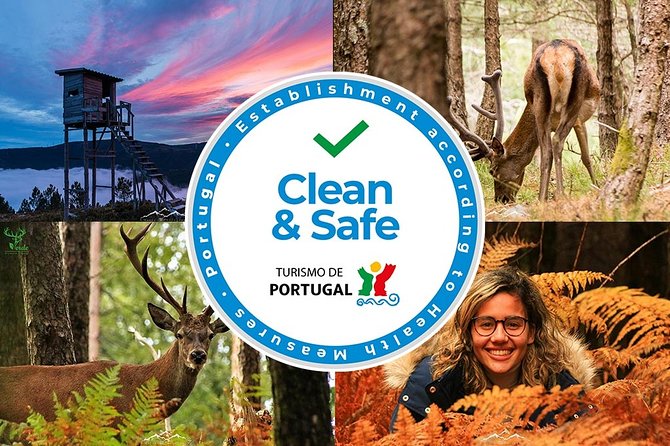 Conimbriga and The Roman Tour - Key Points