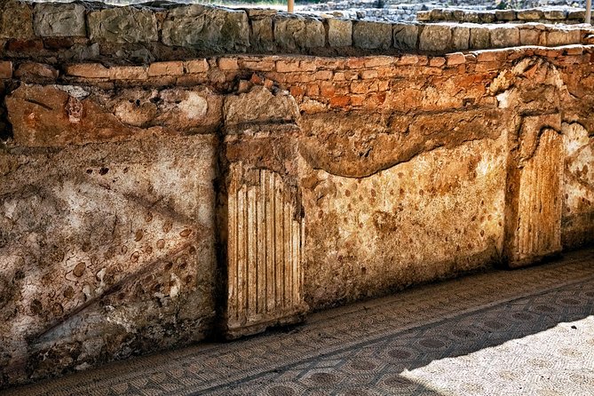 Conímbriga Roman Ruins & Museum - What Sets This Tour Apart from Similar Experiences