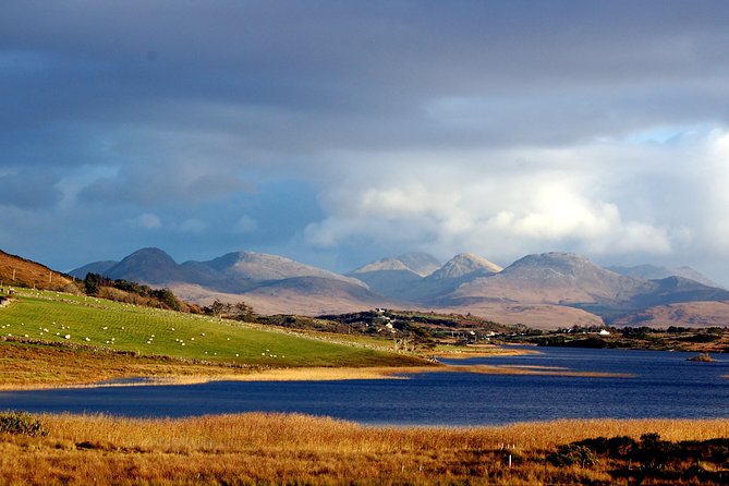 Connemara & Connemara National Park day tour from Galway. Guided. - Key Points
