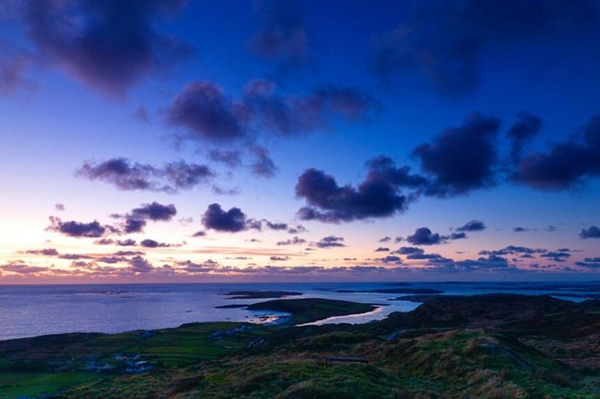 Connemara & Inishturk Island wildlife watching cruise. Private guided Full-day - Connemara & Inishturk Island Wildlife Watching Cruise: An Intimate Full-Day Adventure