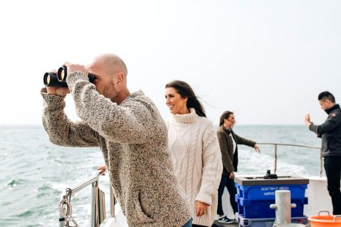 Connemara & Inishturk Island wildlife watching cruise. Private guided Full-day - Key Points