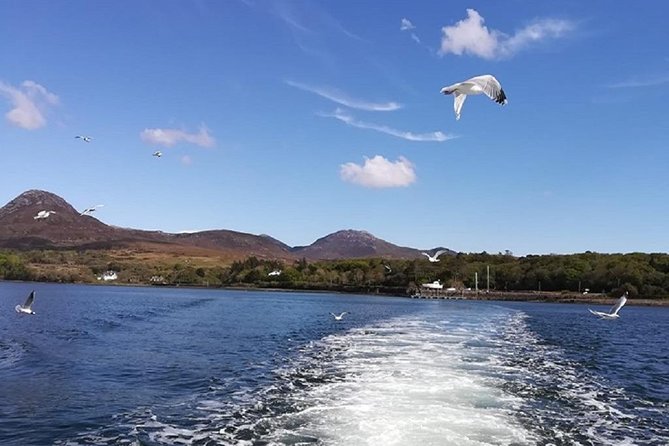 Connemara & Inishturk Island wildlife watching cruise. Private guided Full-day - Exploring Inishturk Island and Its Coastal Charm
