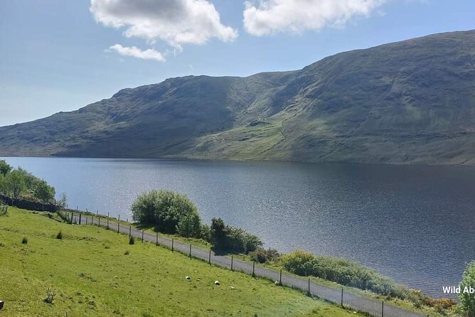 Connemara Sheep Farm experience & Kylemore Abbey by Lux Limousine - Connemara’s Rugged Beauty and Scenic Drives