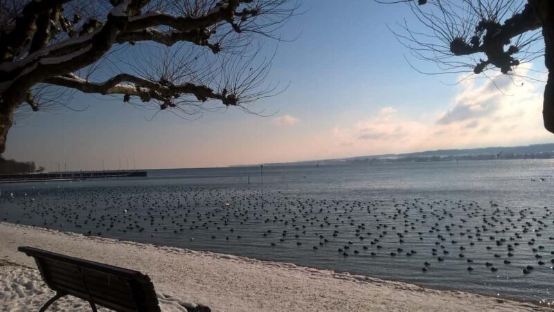 Constance: Private Winter Romantic City Tour with Lake Constance Winemaker's Mulled Wine - Visiting Münsterplatz Again and Its Seasonal Glow