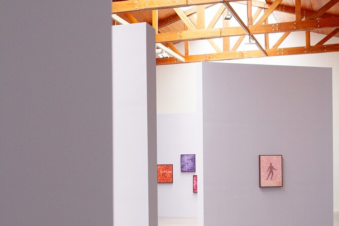 Contemporary Art Galleries Tour in Mexico City with Expert Guides - Exploring Mexico Citys Contemporary Art Scene