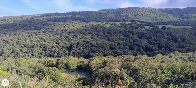 Contessa Entellina: Trekking on the Path of Beauty - Relaxing and Sampling Local Products