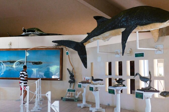 Contoy Island Tour from Cancun and Isla Mujeres with Snorkeling - The Local Flavors: Grilled Fish and Other Lunch Options