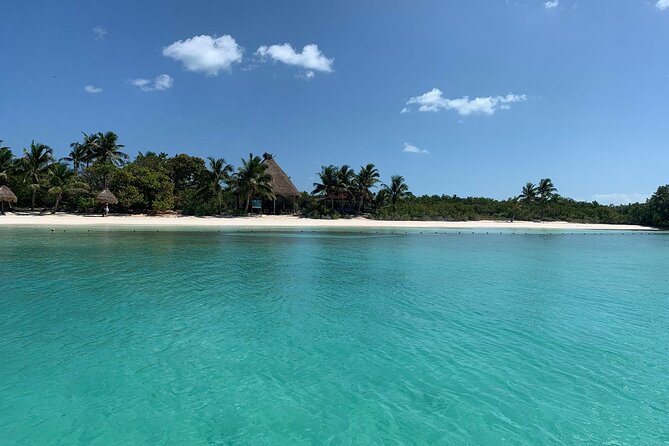 Contoy Island Tour from Cancun and Isla Mujeres with Snorkeling - Snorkeling at the Mesoamerican Barrier Reef
