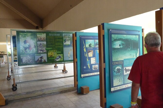 Contoy Island Tour from Cancun and Isla Mujeres with Snorkeling - Returning to Isla Mujeres: End of the Day