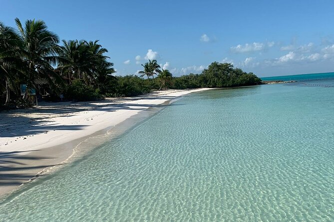 Contoy Island Tour from Cancun and Isla Mujeres with Snorkeling - Practical Details and Tips for the Tour