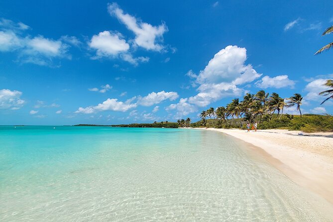 Contoy Island Tour with Untouched Paradise and Beach Day - Key Points