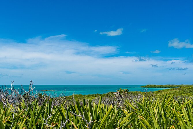 Contoy Island Tour with Untouched Paradise and Beach Day - Beach and Lunch Break at Isla Contoy National Park