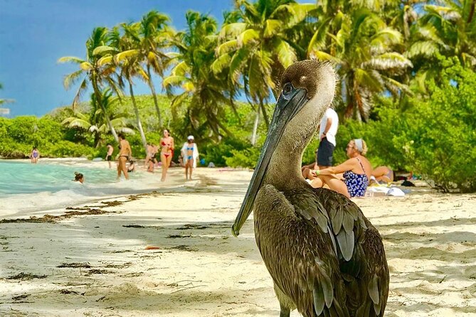 Contoy Reef & Isla Mujeres Tour! From Cancun & Playa del Carmen - Starting the Day at Cancun Marina