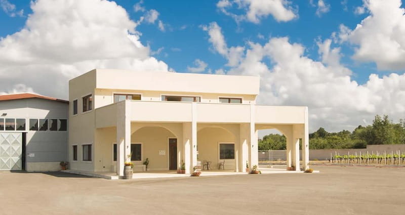 Conversano: wine tasting tour in the winery - Visit to D’Alessandro Winery in Conversano Offers a Deep Dive into Land and Wine