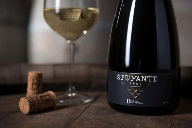 Conversano: wine tasting tour in the winery - The Food Pairings Reflect Regional Culinary Traditions