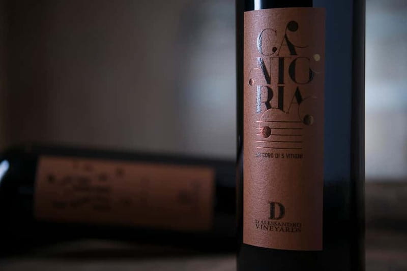 Conversano: wine tasting tour in the winery - The Experience of the D’Alessandro Guide