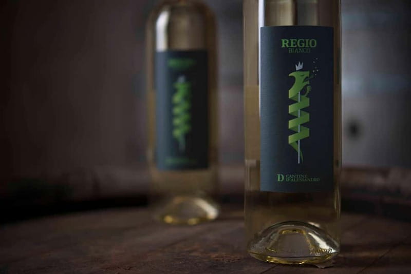 Conversano: wine tasting tour in the winery - Accessibility and Booking Details