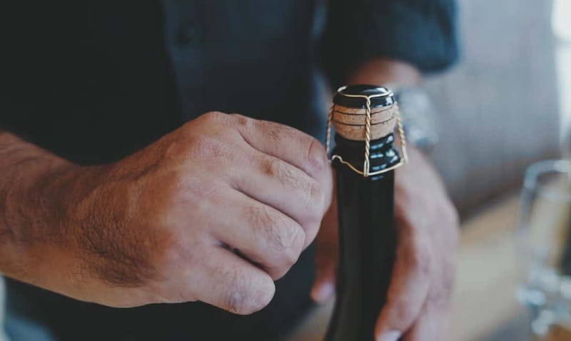 Conversano: wine tasting tour in the winery - The Sum Up: A Short but Rich Taste of Puglia’s Wine Culture