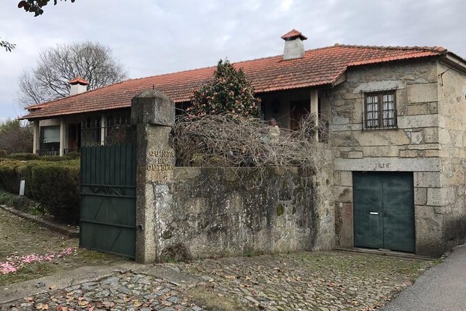Cook Cod Fish as a Local in Traditional Place - Harvesting Seasonal Products in the Vegetable Garden