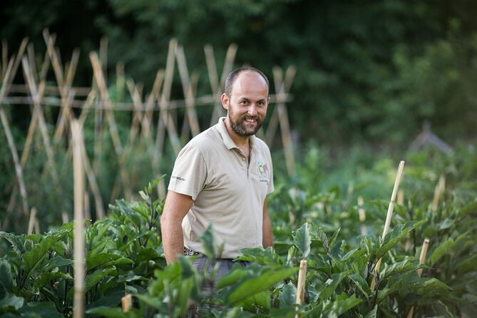 Cook like a local Greek Cooking lesson in Mt Pelion Greece - The Farm Environment and Local Hospitality