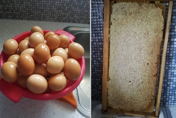 Cooking Class at Alexandras Farm in Ypati Thermal Springs - Discover Greek Rural Life with a Unique Cooking Class at Alexandra’s Farm