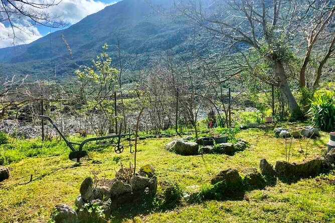 Cooking Class at Alexandras Farm in Ypati Thermal Springs - Learning How to Prepare Greek Classics