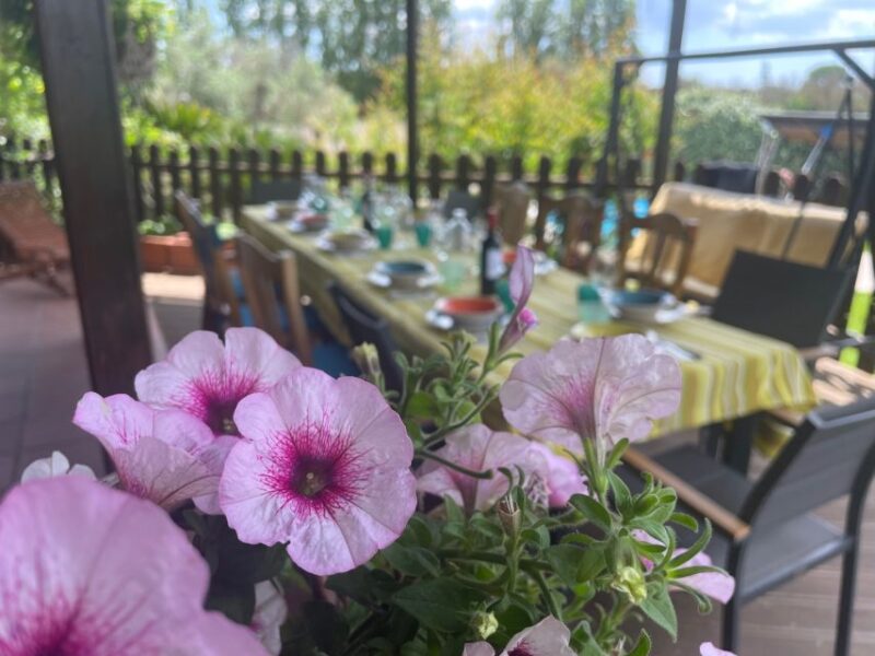 Cooking class, dinner and wine tasting in Lecce (Corigliano) - Why This Cooking Class Stands Out Among Similar Experiences