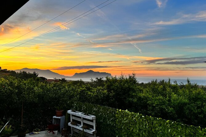Cooking class in a villa with Palermo view - The Experiences Unique Scenic Setting