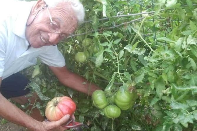 Cooking class in Capri for small groups - The Experiences Strengths and Limitations
