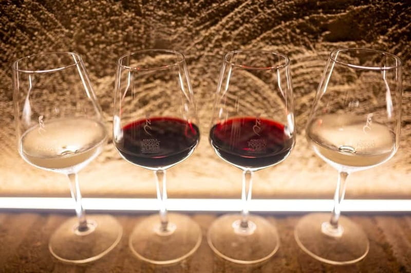 Cooking Class: Italian Authentic Recipes with Lunch - Tasting Local Wines, Oils, and Balsamic Vinegars