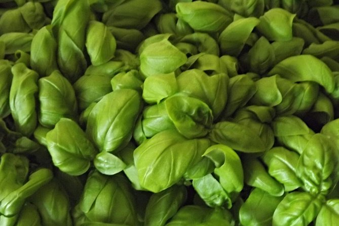 Cooking Class Pesto Sauce - Making Pesto the Traditional Genoese Way