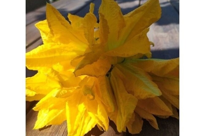 Cooking class: "Traditional dishes of the Mediterranean Diet" - Key Points