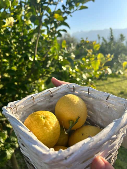 Cooking Class w/Italian Mamma from Pompei! - Key Points