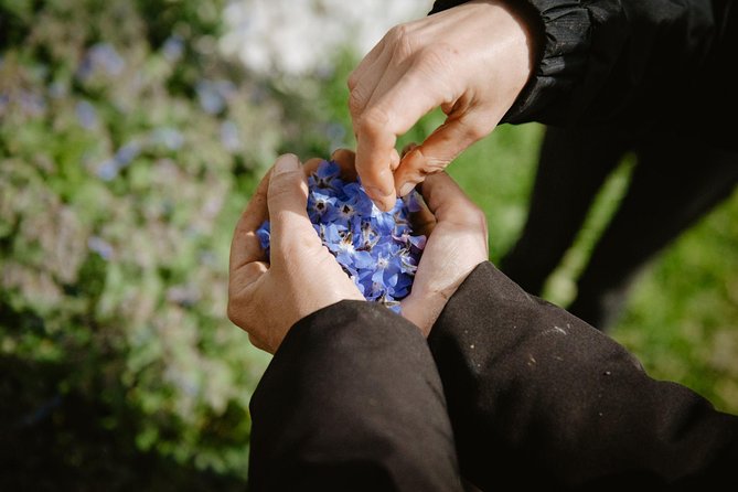 Cooking class: We prepare orecchiette with vegetables from the garden - Discover the Art of Making Orecchiette in a Historic Apulian Farmhouse