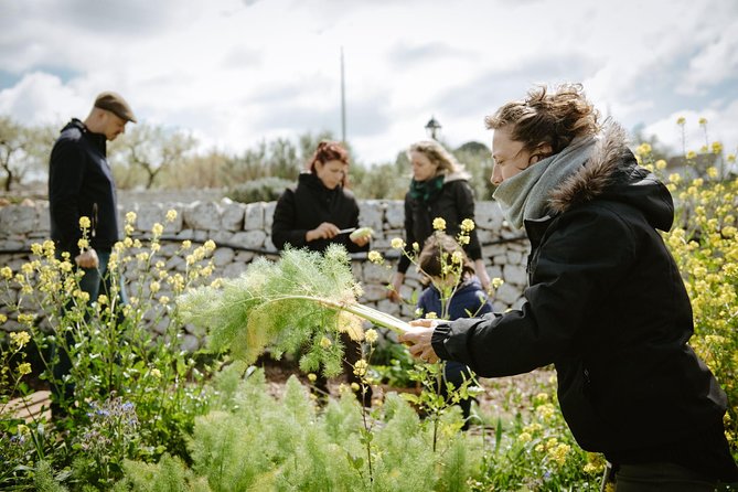 Cooking class: We prepare orecchiette with vegetables from the garden - Who Will Appreciate This Cooking Class in Bari?