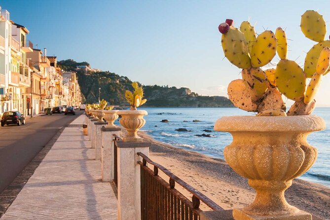 Cooking Class with Seaview with Chef Mimmo - The Family Atmosphere and Expert Guidance